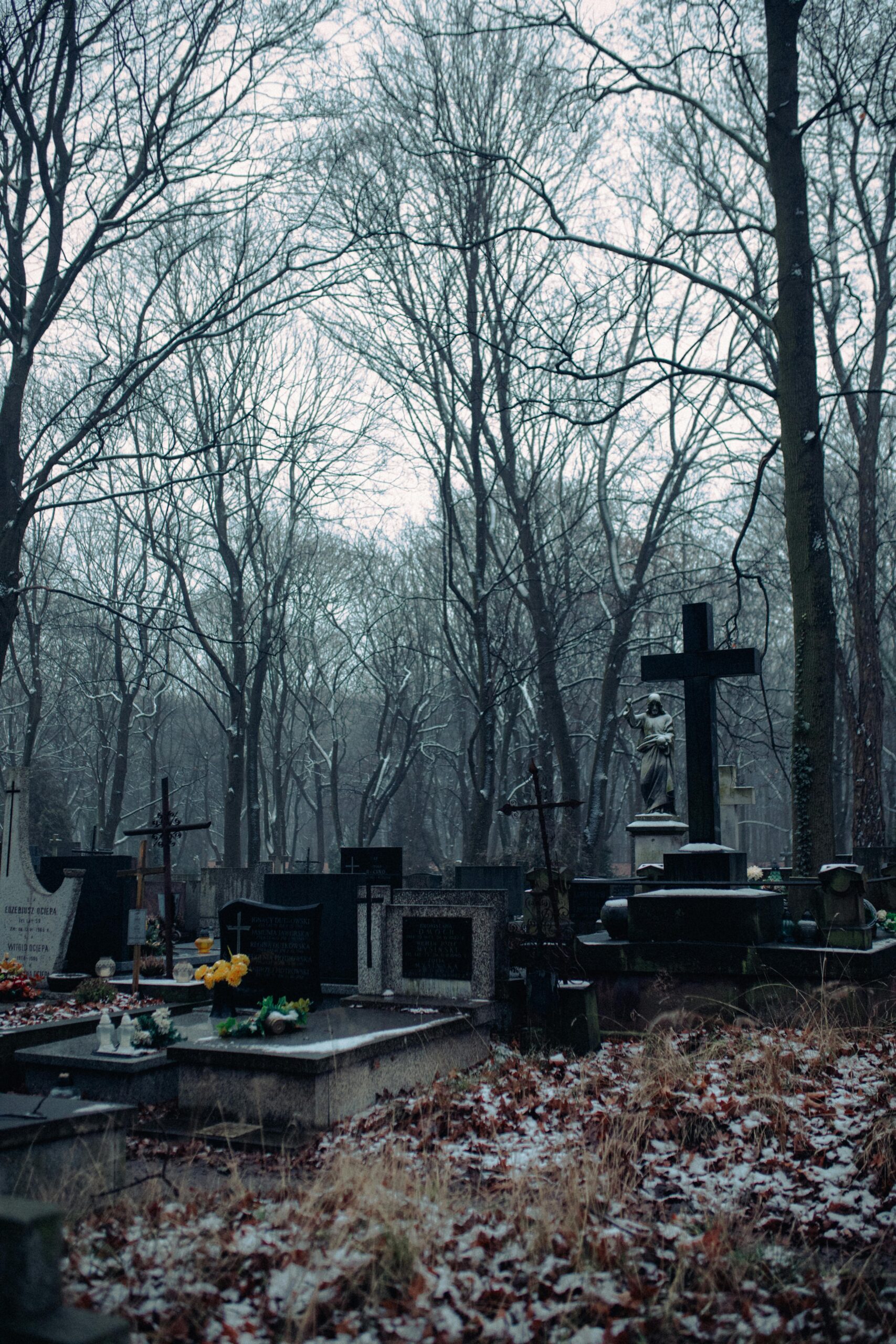 Featured image for “Why Meaning Matters More After Loss Than Before It”